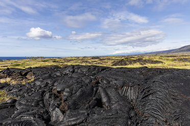 USA, Hawaii, Big Island, Volcanoes National Park, Ka Lae Apuki, Lavafelder - FOF10554