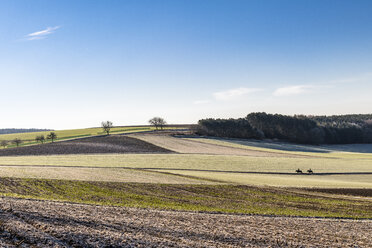 Deutschland, Baden-Württemberg, Uissigheim, Feldlandschaft - EGBF00289