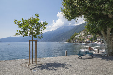 Schweiz, Ascona, Lago Maggiore, Seeufer - GWF06040