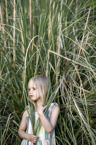 Porträt eines blonden kleinen Mädchens vor Pampasgras, lizenzfreies Stockfoto