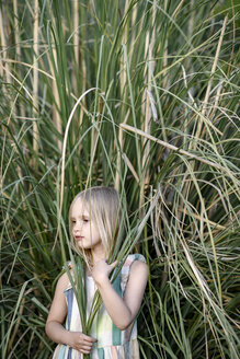 Porträt eines blonden kleinen Mädchens vor Pampasgras - EYAF00088