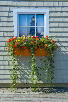 USA, Maine, Shindle Haus mit einem Blumenstrauß am Fenster, Bar Harbor, Eingangstor zum Acadia National Park - RUNF01756