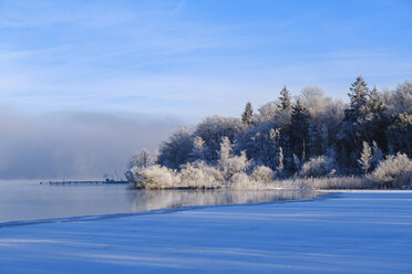 Germany, Bavaria, Upper Bavaria, Fuenfseenland, St. Heinrich near Muensing, Lake Starnberg and morning fog - SIEF08548