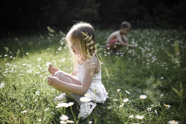 Zwei Kinder pflücken Blumen auf einem Feld - EYAF00106