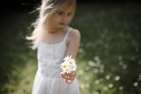 Kleines Mädchen hält Blumen auf einem Feld, lizenzfreies Stockfoto