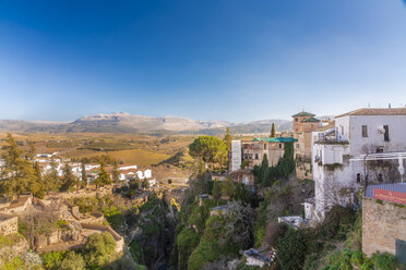 Spanien, Andalusien, Provinz Malaga, Ronda, Landschaft - TAMF01221