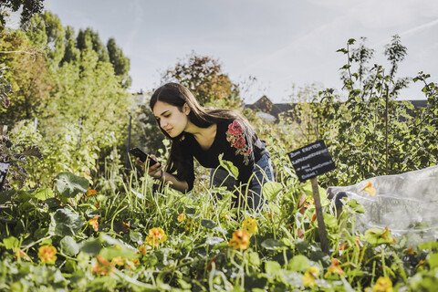 Frau benutzt Smartphone im städtischen Garten, lizenzfreies Stockfoto