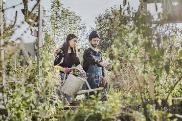 Couple gardening in urban garden together - VGPF00016