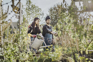 Ehepaar gärtnert gemeinsam im städtischen Garten - VGPF00016