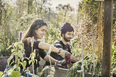 Happy couple gardening in urban garden together - VGPF00020