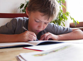 Boy doing his homework - WWF05004