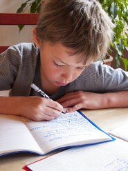 Boy doing his homework - WWF05005