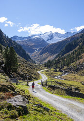 Austria, Salzburg State, High Tauern National Park, Zillertal Alps, woman hiking on trail - WWF05029