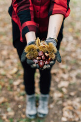 Woman with handful of chestnuts - CUF50031