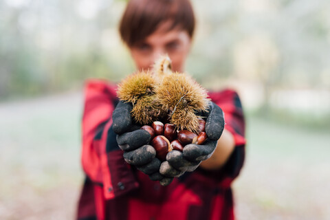 Woman with handful of chestnuts stock photo