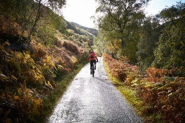 Männlicher Mountainbiker auf Landstraße, Rückansicht, Achnasheen, Schottische Highlands, Schottland - CUF50081