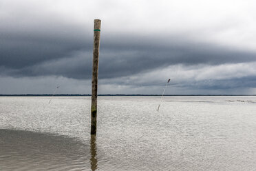 Germany, Nessmersiel, wooden stake in the sea - EGBF00297