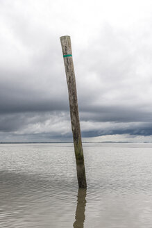 Deutschland, Nessmersiel, Holzpfahl im Meer - EGBF00298