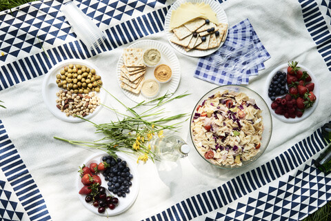 Draufsicht auf gesunde Picknick-Snacks auf einer Decke, lizenzfreies Stockfoto