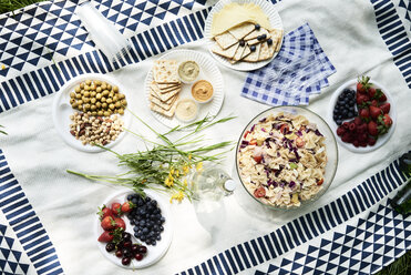 Top view of healthy picnic snacks on a blanket - IGGF00976