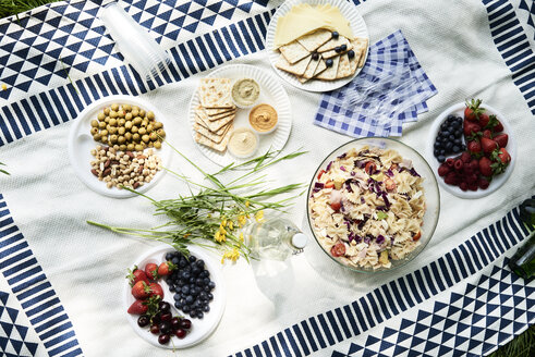 Draufsicht auf gesunde Picknick-Snacks auf einer Decke - IGGF00976