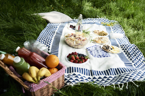 Gesunde Picknick-Snacks auf einer Decke im Gras, lizenzfreies Stockfoto