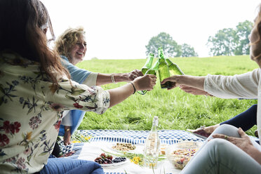 Glückliche Frauen stoßen bei einem Picknick im Park mit Bierflaschen an - IGGF00985
