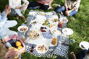 Teilansicht von Frauen beim Picknick im Park - IGGF00996