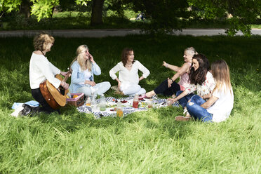 Gruppe von Frauen mit Gitarre, die sich bei einem Picknick im Park amüsieren - IGGF01001