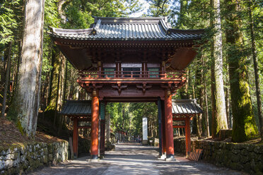 Japan, Nikko, Eingangstor zum Futarasan-Schrein - RUNF01788