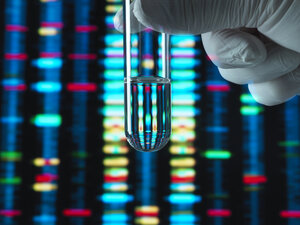 Genetische Forschung, DNA-Profil, das sich in einem Reagenzglas mit einer Probe widerspiegelt - ABRF00354