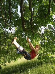 Boy swinging on a rope in tree - WWF05038