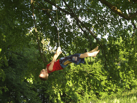 Junge schwingt an einem Seil im Baum, lizenzfreies Stockfoto