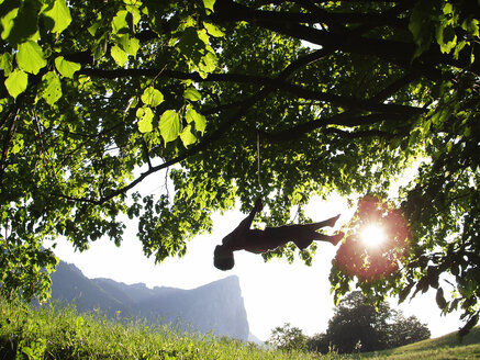 Boy swinging on a rope in tree - WWF05040