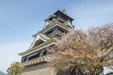 Japan, Kumamoto, Blick auf die Burg Kumamoto zur Kirschblüte - RUNF01791