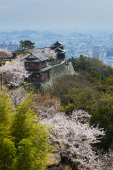 Japan, Shikoku, Matsuyama, Schloss Matsuyama zur Kirschblüte - RUNF01798