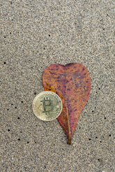 Bitcoin am Sandstrand mit verwelktem Blatt - MAUF02437