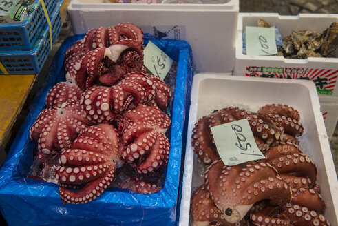 Japan, Tokio, Tsukiji, Kisten mit frischem Tintenfisch auf dem Fischmarkt - RUNF01811