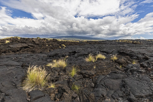 USA, Hawaii, Big Island, Kona, Kona, Mauna Loa-Vulkan und Lavafeld - FOF10585