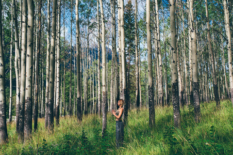 Frau in Gebetspose im Wald, Banff, Kanada, lizenzfreies Stockfoto