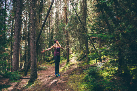 Wanderer genießt den Wald, Johnston Canyon Trail, Banff, Kanada, lizenzfreies Stockfoto