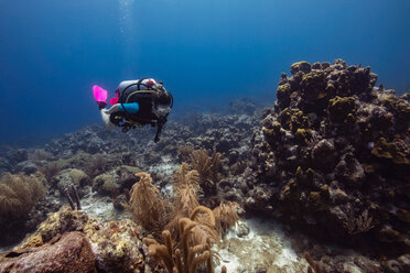 Female diver exploring reefs, Curacao - CUF50481