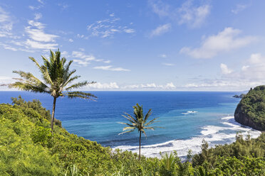 USA, Hawaii, Big Island, Pazifischer Ozean, Aussichtspunkt Pololu Valley - FOF10598