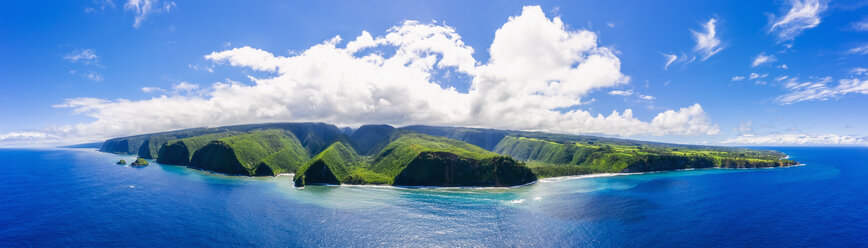 USA, Hawaii, Big Island, Pazifischer Ozean, Pololu Valley Lookout, Kohala Forest Reserve, Akoakoa Point, Luftaufnahme - FOF10601