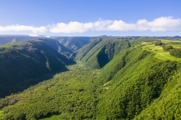 USA, Hawaii, Big Island, Pololu-Tal, Luftaufnahme - FOF10608