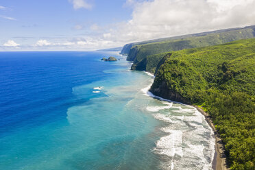 USA, Hawaii, Big Island, Pazifischer Ozean, Pololu Valley Lookout, Kohala Forest Reserve, Luftaufnahme - FOF10609