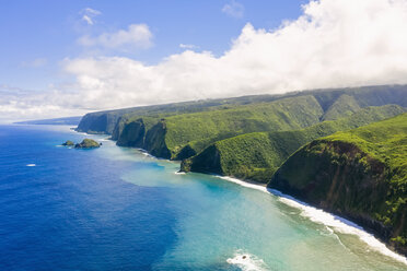 USA, Hawaii, Big Island, Pazifischer Ozean, Pololu Valley Lookout, Kohala Forest Reserve, Luftaufnahme - FOF10610