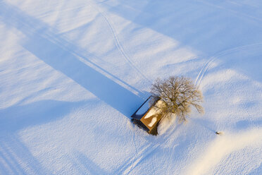 Deutschland, Bayern, Eurasburg, Hütte und Baum im Winter, Luftaufnahme - SIEF08553