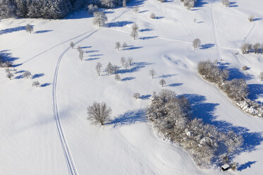 Germany, Bavaria, Wolfratshausen, loipe near golf course in winter, aerial view - SIEF08556