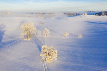 Germany, Bavaria, Holzhausen near Muensing, foggy winter landscape at sunrise, aerial view - SIEF08565